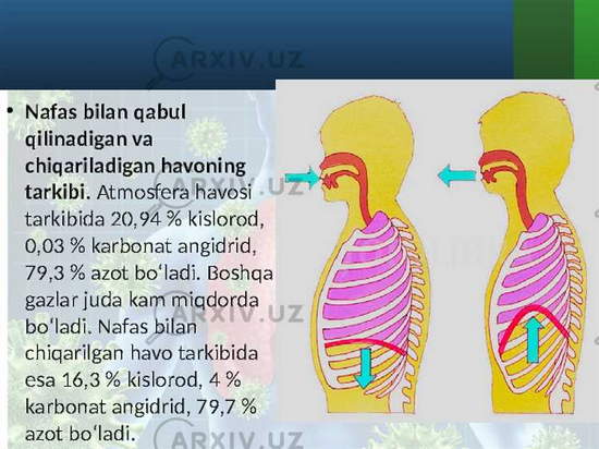 Forex demo hisob raqami uchun qancha mablag' ajratiladi va bu mablag'ni qanday ishlatish mumkin